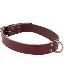 Adori Halsband Italy Met Print Old Silver Paars - Hondenhalsband