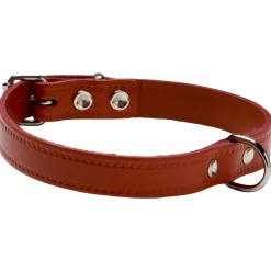Adori Halsband Leer Met Print Rood - Hondenhalsband