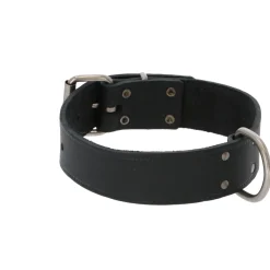 Adori Halsband Vetleder Met Print Zwart - Hondenhalsband