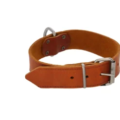 Adori Halsband Vetleder Met Print Cognac - Hondenhalsband