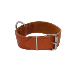 Adori Halsband Vetleder Met Print Cognac - Hondenhalsband