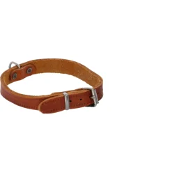 Adori Halsband Vetleder Met Print Cognac - Hondenhalsband