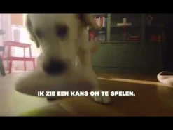 Adori Hondenspeelgoed Skinny Eend - Knuffel - 40 cm Geel