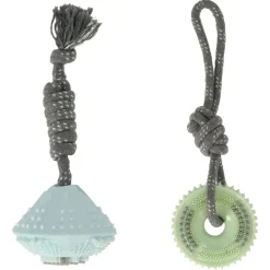 Adori Hondenspeelgoed Tpr Dental Beef Flavour - Hondenspeelgoed - Assorti