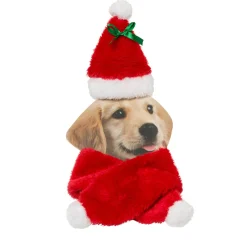 Adori Kerstmuts Met Sjaal - Hondenkleding - Rood Wit Kerst