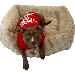 Adori Kersttrui Rood - Hondenkleding