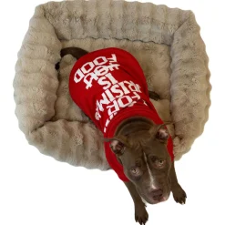 Adori Kersttrui Rood - Hondenkleding