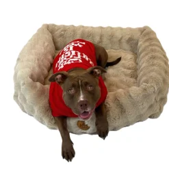 Adori Kersttrui Rood - Hondenkleding