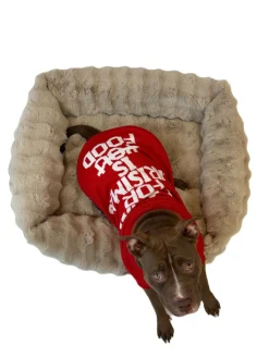 Adori Kersttrui Rood - Hondenkleding