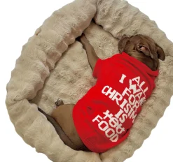 Adori Kersttrui Rood - Hondenkleding