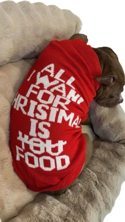 Adori Kersttrui Rood - Hondenkleding