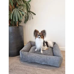 Adori Mand Genevive Grijs - Hondenmand