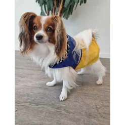 Adori Regenjas George Blauw&Geel - Hondenkleding