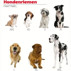 Adori Traininglijn Nylon Rood - Hondenriem