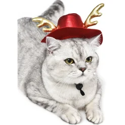 Adori Xmas Hoedje - Hondenkleding - 15x6 cm Rood