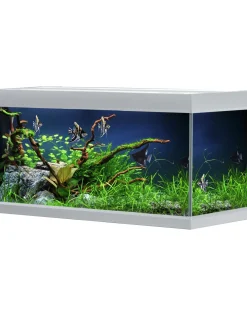 Akvastabil Fusion Aquarium 80 - Aquaria - 80x40x49 cm Zilver Wit Ca. 144 L