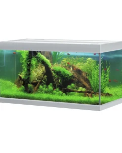 Akvastabil Fusion Aquarium 100 - Aquaria - 100x50x54 cm Zilver Wit Ca. 250 L