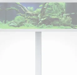 Akvastabil Fusion Kast 130 - Aquariummeubel - 130x50x75 cm Wit