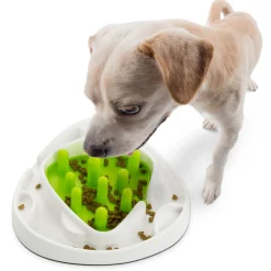 All For Paws Food Maze - Hondendrinkbak - Ø28 cm Wit Groen