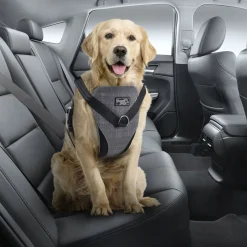 All For Paws Honden Autogordel - Hondenautoaccessoire - Grijs 46-76/61-86 Cm