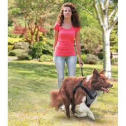 All For Paws Honden Autogordel - Hondenautoaccessoire - Grijs 46-76/61-86 Cm