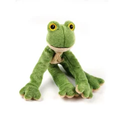 All For Paws Kikker - Hondenspeelgoed - 41x17x9 cm Groen