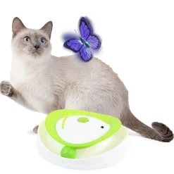 All For Paws Roll Around Flutter Bug - Kattenspeelgoed -