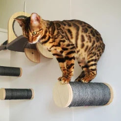 All For Paws Skywalk - Large Step Post Playground - 2 Pack - Wandkrabpaal - 23x12.5x28 cm Grijs