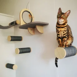 All For Paws Skywalk - Large Step Post Playground - 2 Pack - Wandkrabpaal - 23x12.5x28 cm Grijs