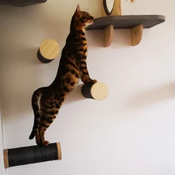 All For Paws Skywalk - Medium Step Post Playground - 3 Pack - Wandkrabpaal - 29x10x28 cm Grijs