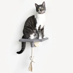 All For Paws Skywalk - Step-In Platform With Rope - Wandkrabpaal - 32x8x28 cm Grijs