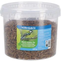 Allbirds&Co Black Soldier Fly In Emmer - Tuinvogelvoer - 650 g