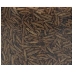 Allbirds&Co Black Soldier Fly In Emmer - Tuinvogelvoer - 650 g