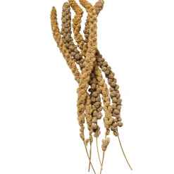 Allbirds&Co Trosgierst - Voer - 150 g