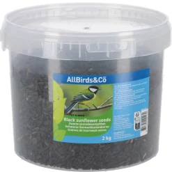 Allbirds&Co Zwarte Zonnebloempitten In Emmer - Tuinvogelvoer - 2 kg