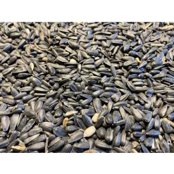 Allbirds&Co Zwarte Zonnebloempitten In Emmer - Tuinvogelvoer - 2 kg