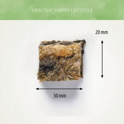 Antos Fish D'Light Squared - Hondensnacks - Vis 100 g