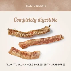 Antos Luchtpijp - Hondensnacks - Rund 160 g