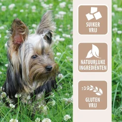 Antos Oorstukjes - Hondensnacks - Varken 500 g