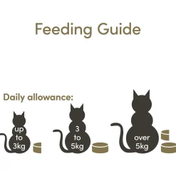 Applaws Cat Blik - Kattenvoer - Tonijnfilet Garnaal 156 g