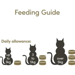 Applaws Cat Blik Mp Selection - Kattenvoer - Vis 12x70 g