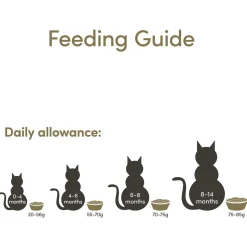 Applaws Cat Kitten - Kitten-Kattenvoer - 2 kg