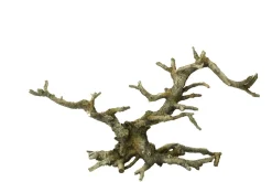 Aqua Della Decor Bonsai - Aquarium - Ornament - Grijs