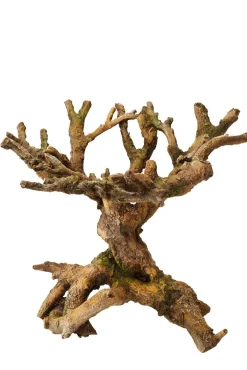 Aqua Della Decor Bonsai Bruin - Aquarium - Ornament