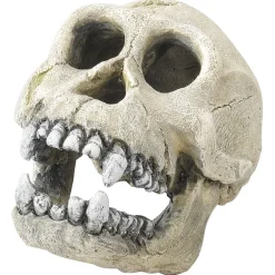 Aqua Della Decor Chimpanzee - Aquarium - Ornament - 16 cm