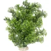 Aqua Della Decor Plant Phoenix - Aquarium - Kunstplant - Donkergroen