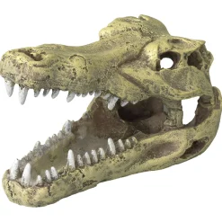 Aqua Della Decor Schedel Krokodil S - Aquarium - Ornament