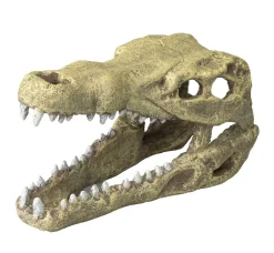 Aqua Della Decor Schedel Krokodil S - Aquarium - Ornament