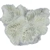 Aqua Della Fungia Koraal - Aquarium - Ornament - Wit