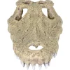 Aqua Della Krokodil Schedel - Aquarium - Ornament - 28.5x14.5x8 cm